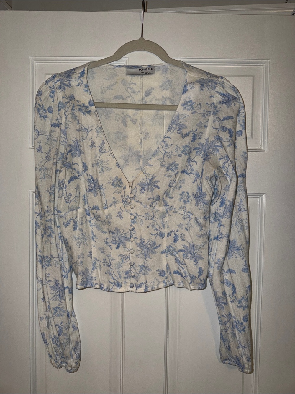 Sophie Rue Floral Button-Front V-Neck Blouse in Light Blue